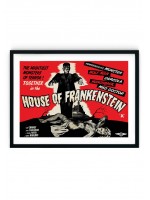 House Of Frankenstein Retro Film Poster